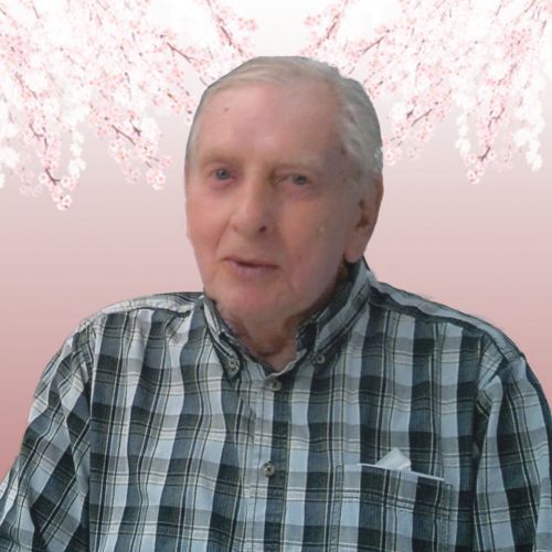 Jean Pierre Vandenbosch Jean Pierre Vandenbosch